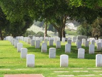 Graves on the lawn
