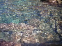 Elba Island's water