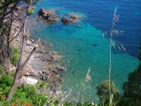 Elba Island